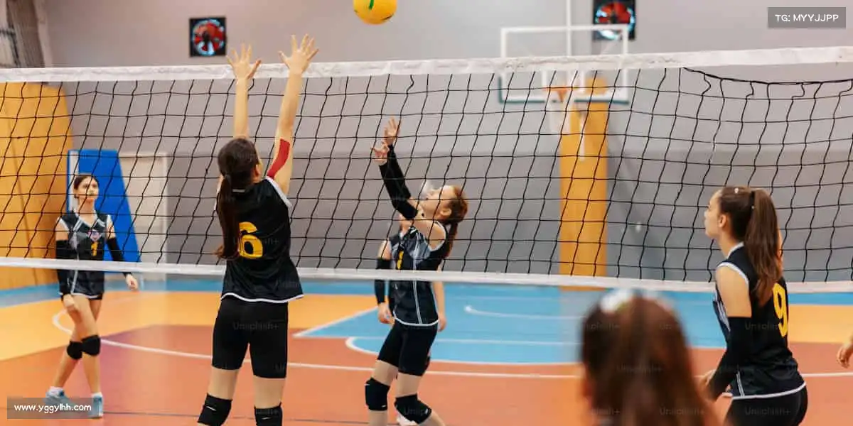 行业领先的理由