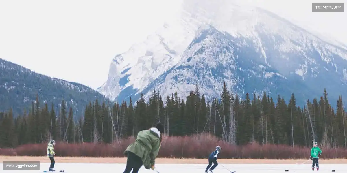 为什么选择我们